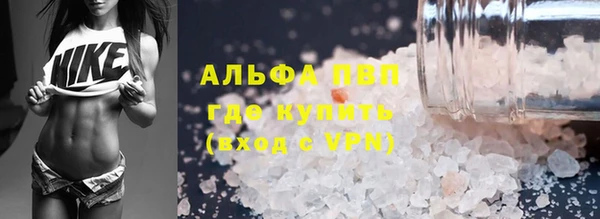 индика Ленинск-Кузнецкий