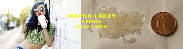 амф Кулебаки