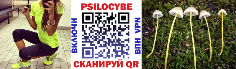 Галлюциногенные грибы GOLDEN TEACHER  Называевск 