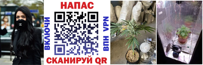 купить закладку  Называевск  МАРИХУАНА конопля 